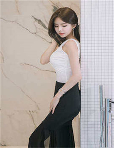《欧美系列视频》